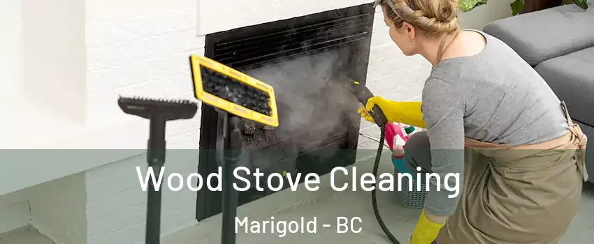  Wood Stove Cleaning Marigold - BC