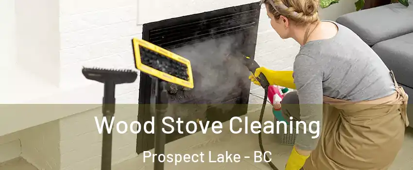  Wood Stove Cleaning Prospect Lake - BC