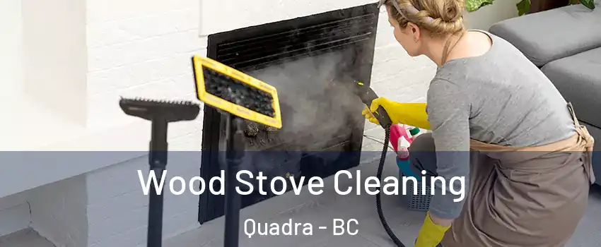 Wood Stove Cleaning Quadra - BC