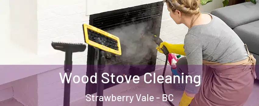  Wood Stove Cleaning Strawberry Vale - BC