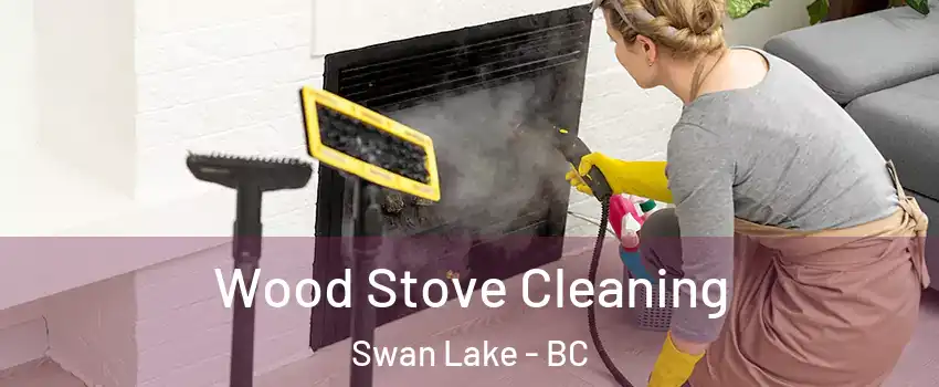  Wood Stove Cleaning Swan Lake - BC