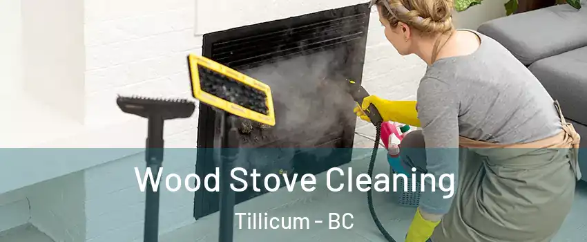  Wood Stove Cleaning Tillicum - BC
