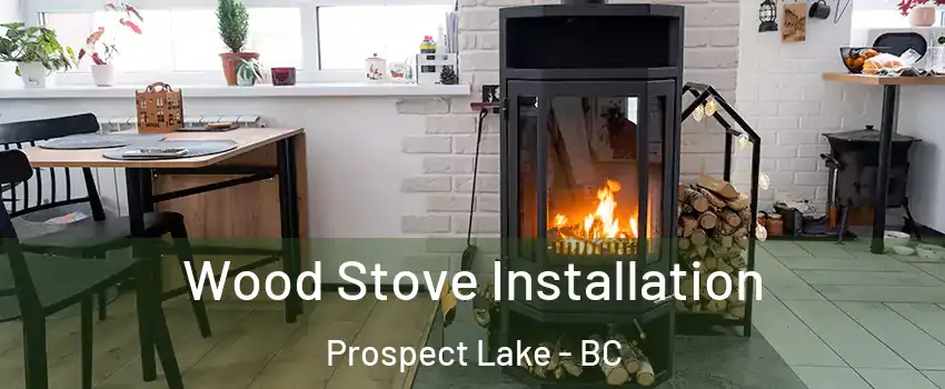  Wood Stove Installation Prospect Lake - BC