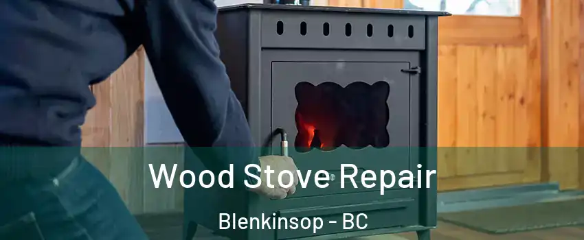  Wood Stove Repair Blenkinsop - BC