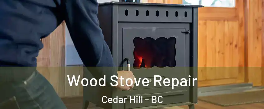  Wood Stove Repair Cedar Hill - BC