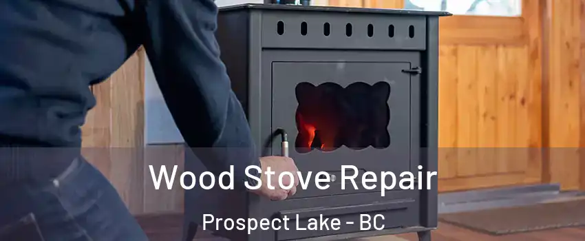  Wood Stove Repair Prospect Lake - BC