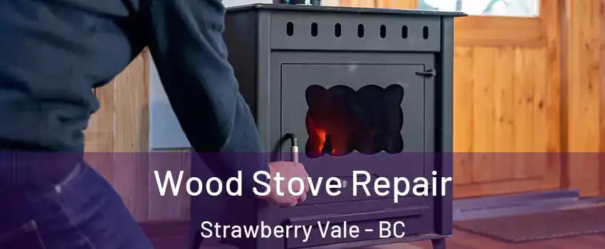  Wood Stove Repair Strawberry Vale - BC